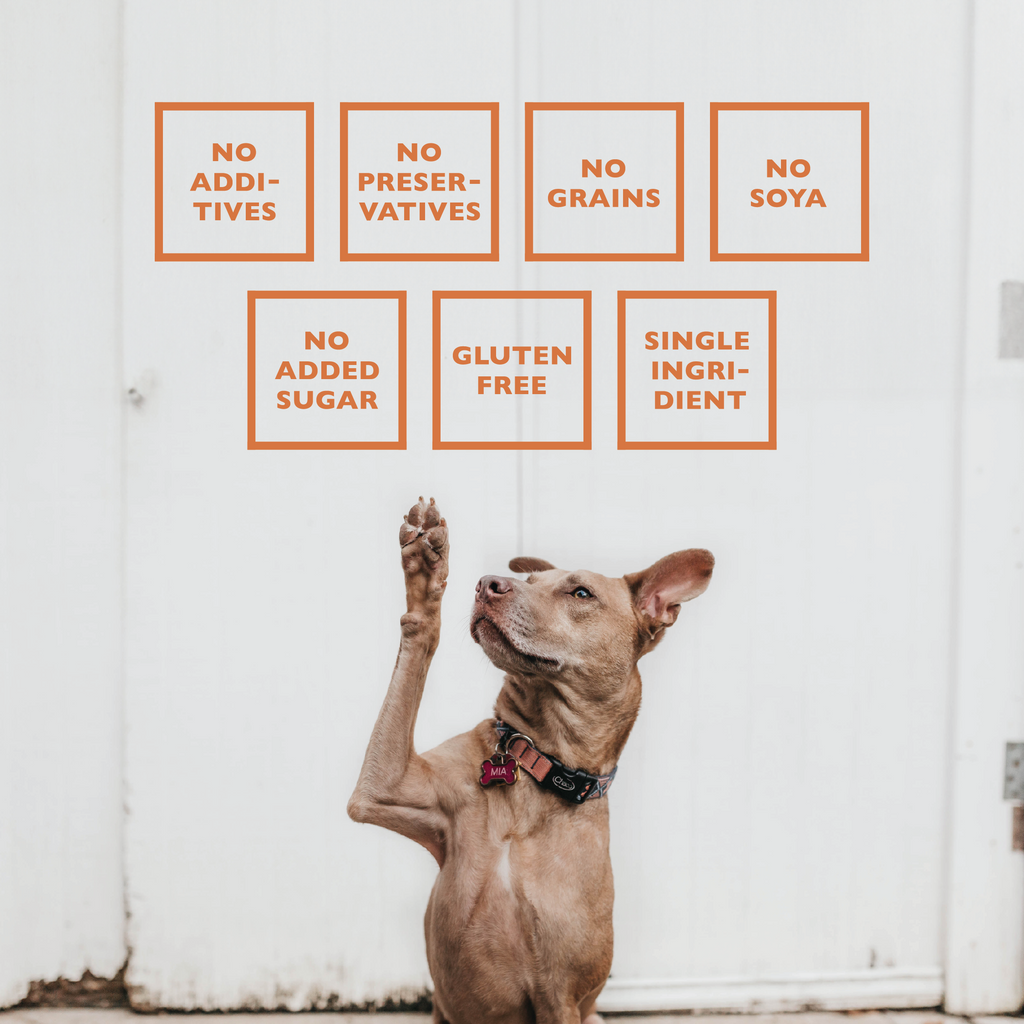 BAFFS NATURALS All-Natural Premium Lamb Pizzle Dog Chews – (8oz Bag)