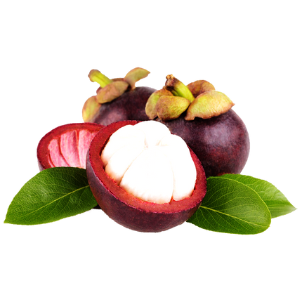 Freeze-Dried Mangosteen (Ship by Jan 15th or sooner)