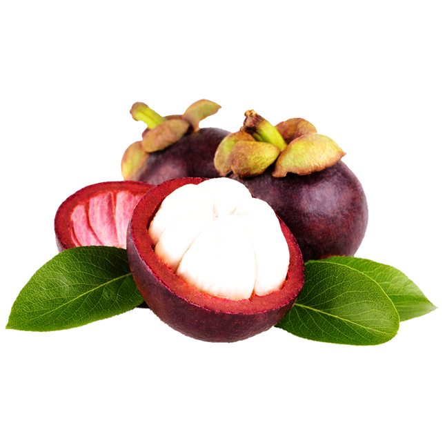 Freeze-Dried Mangosteen (Ship by Jan 15th or sooner)