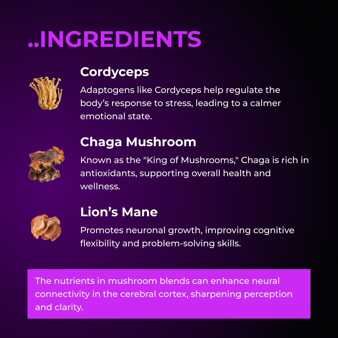 Mushroom X10 by RevitMe