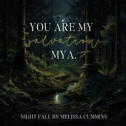 Night Fall Paperback
