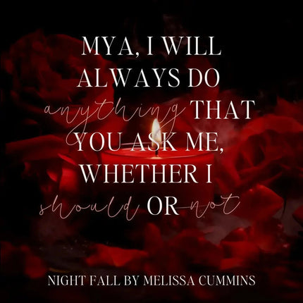 Night Fall Paperback