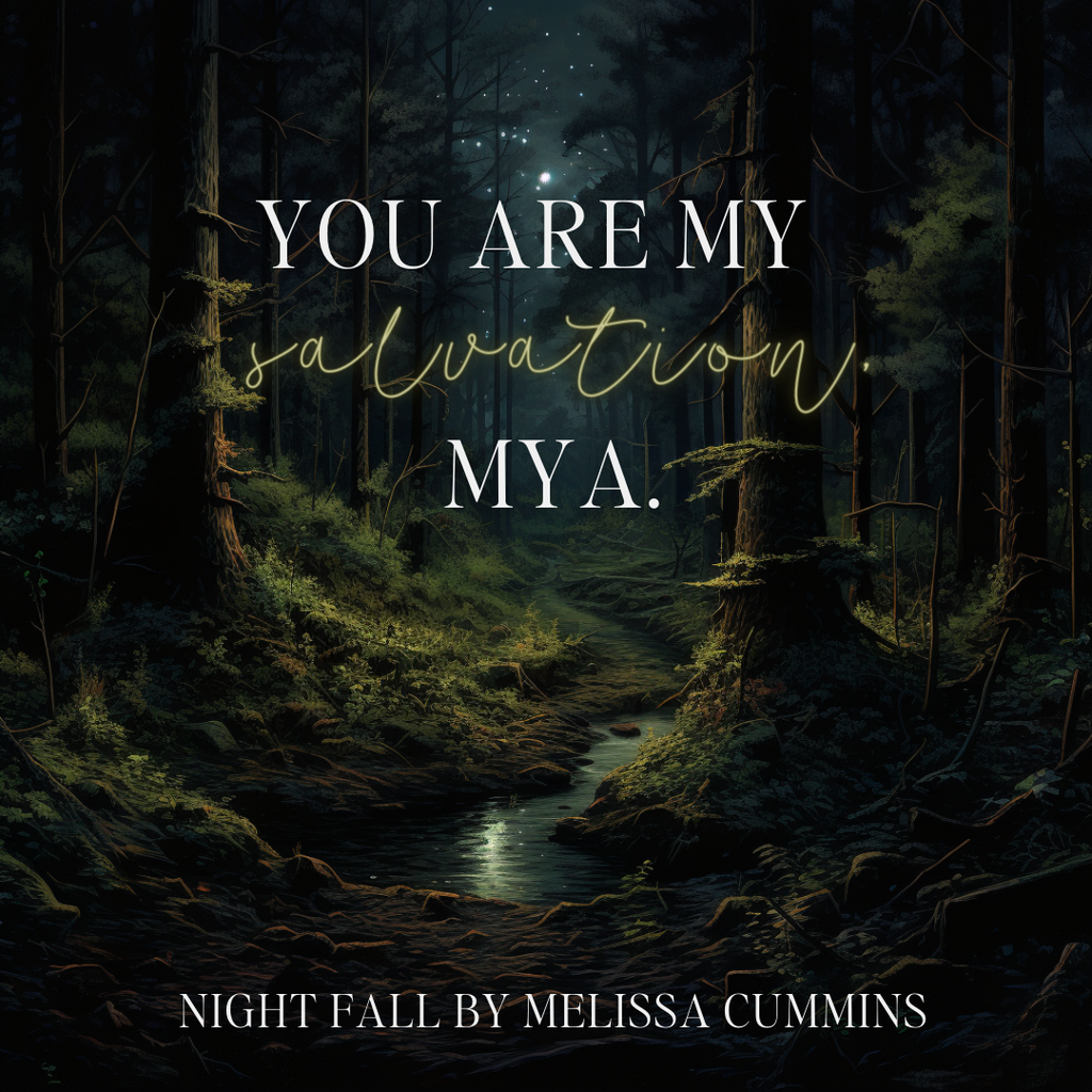 Melissa Cummins Night Fall Paperback