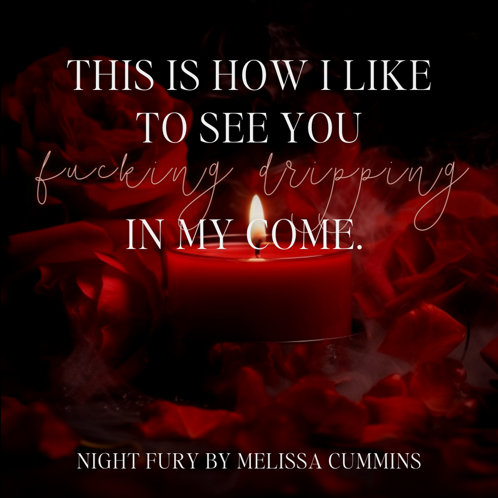 Melissa Cummins Night Fury Paperback