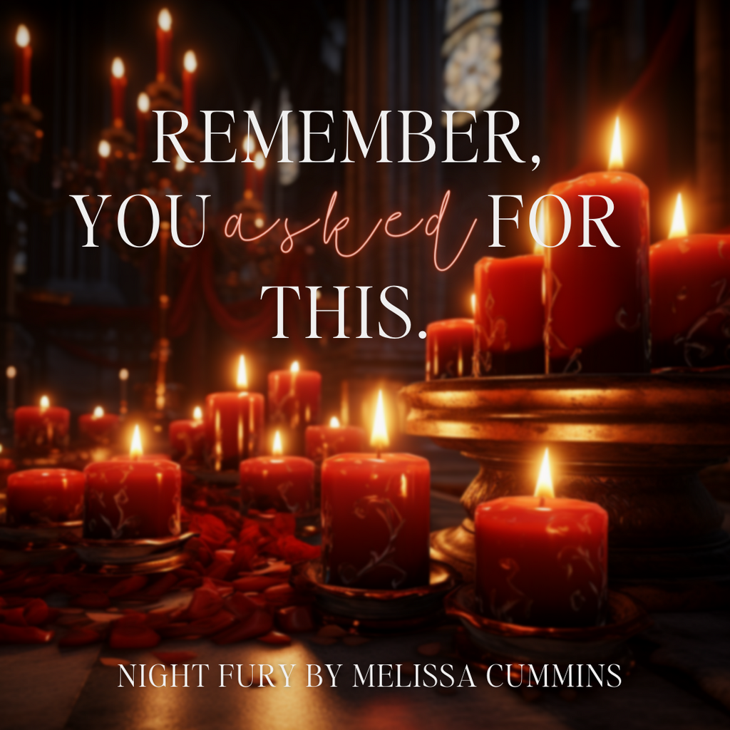 Melissa Cummins Night Fury Paperback