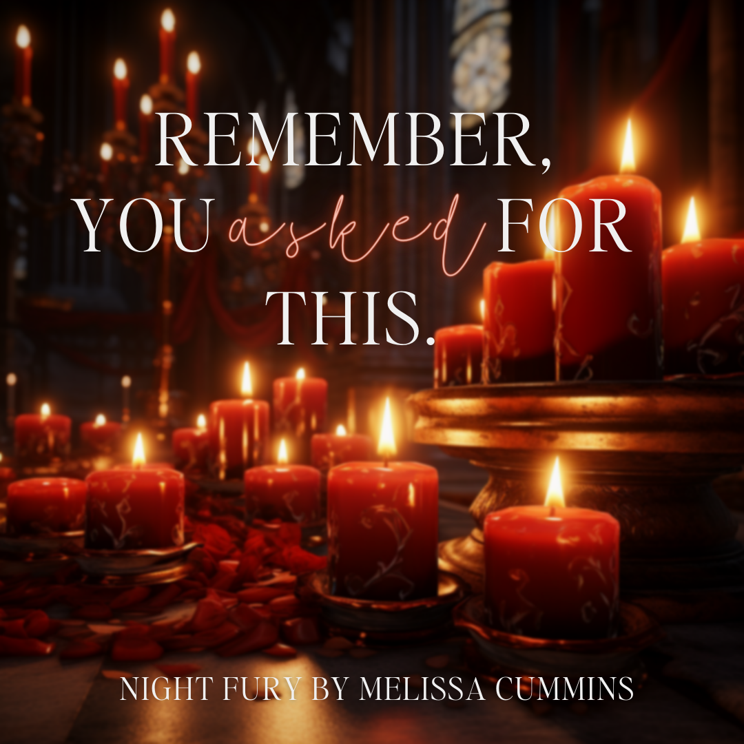 Melissa Cummins Night Fury Paperback