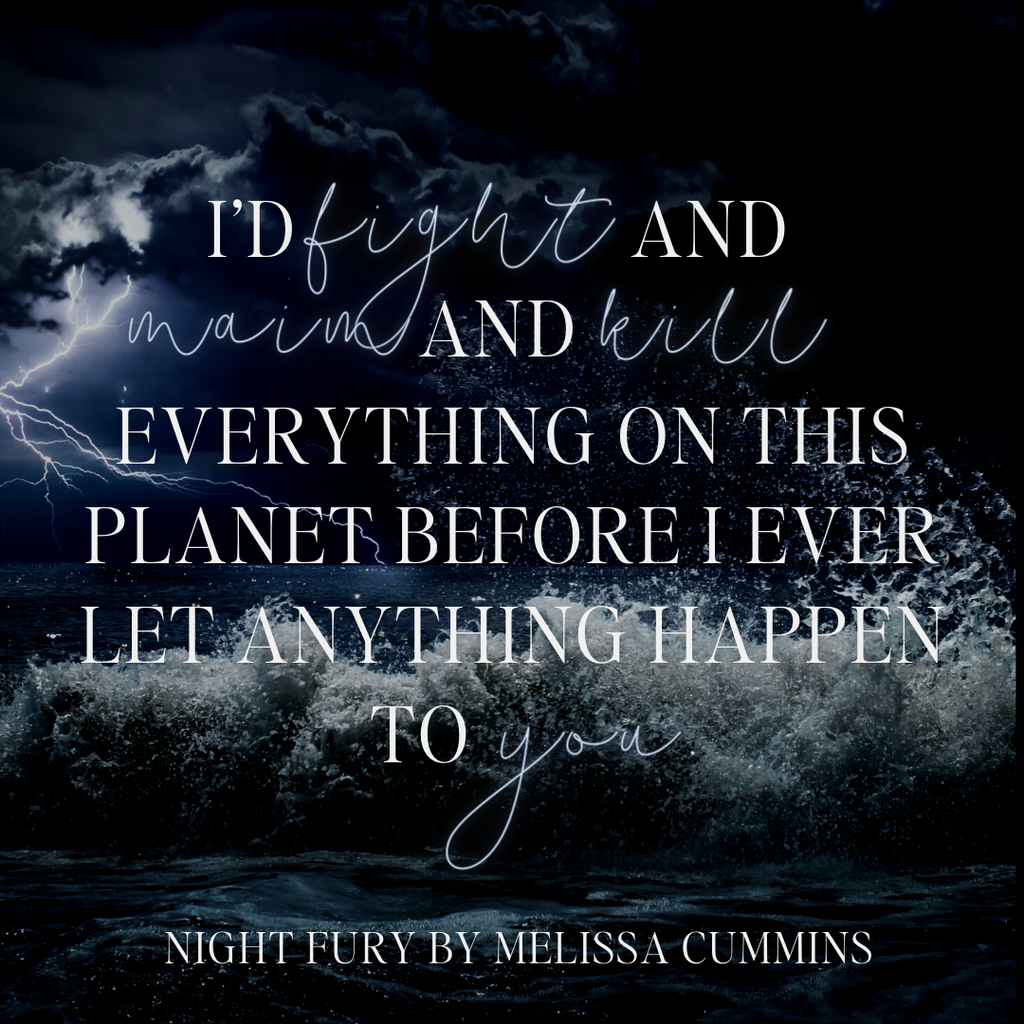 Melissa Cummins Night Fury Paperback