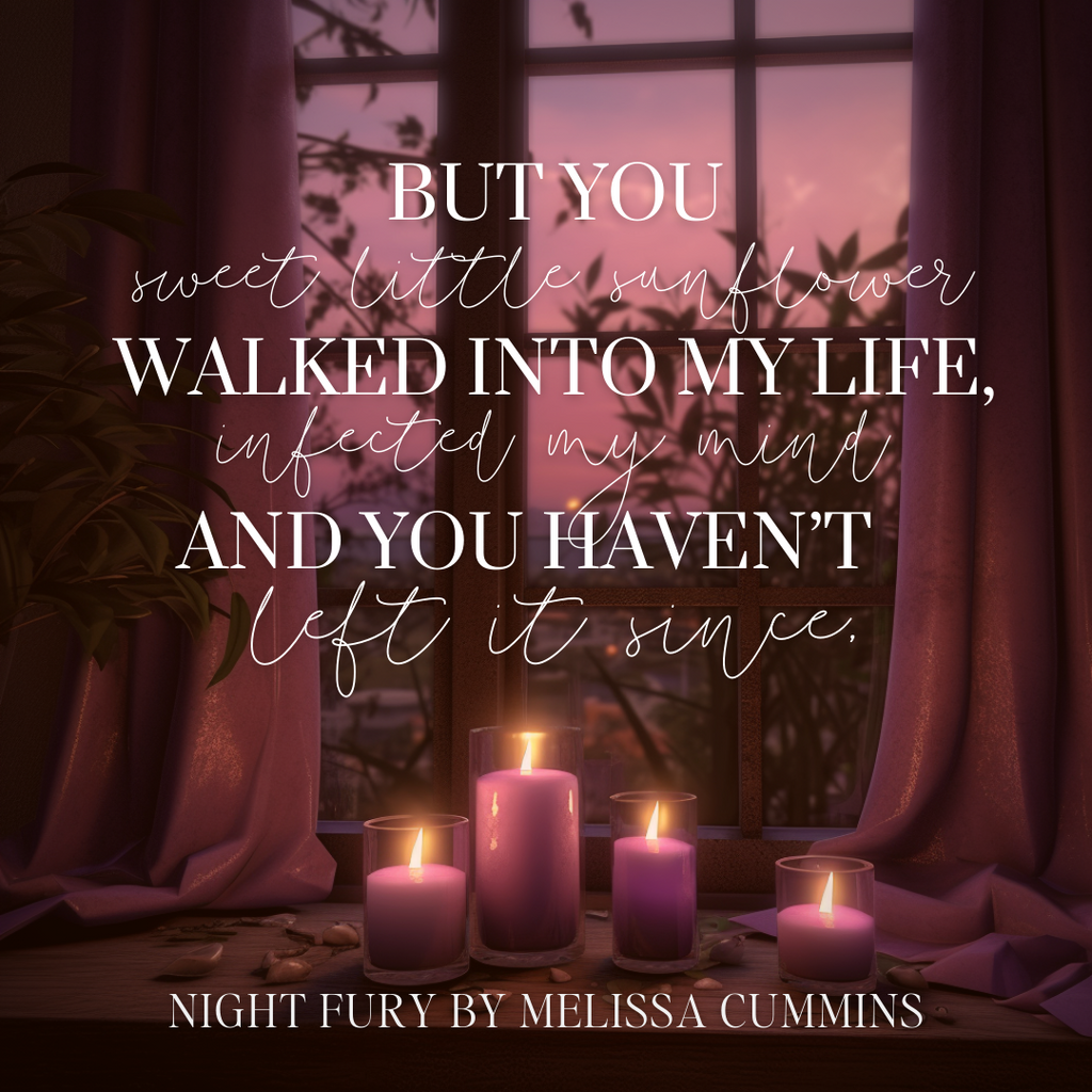 Melissa Cummins Night Fury Paperback