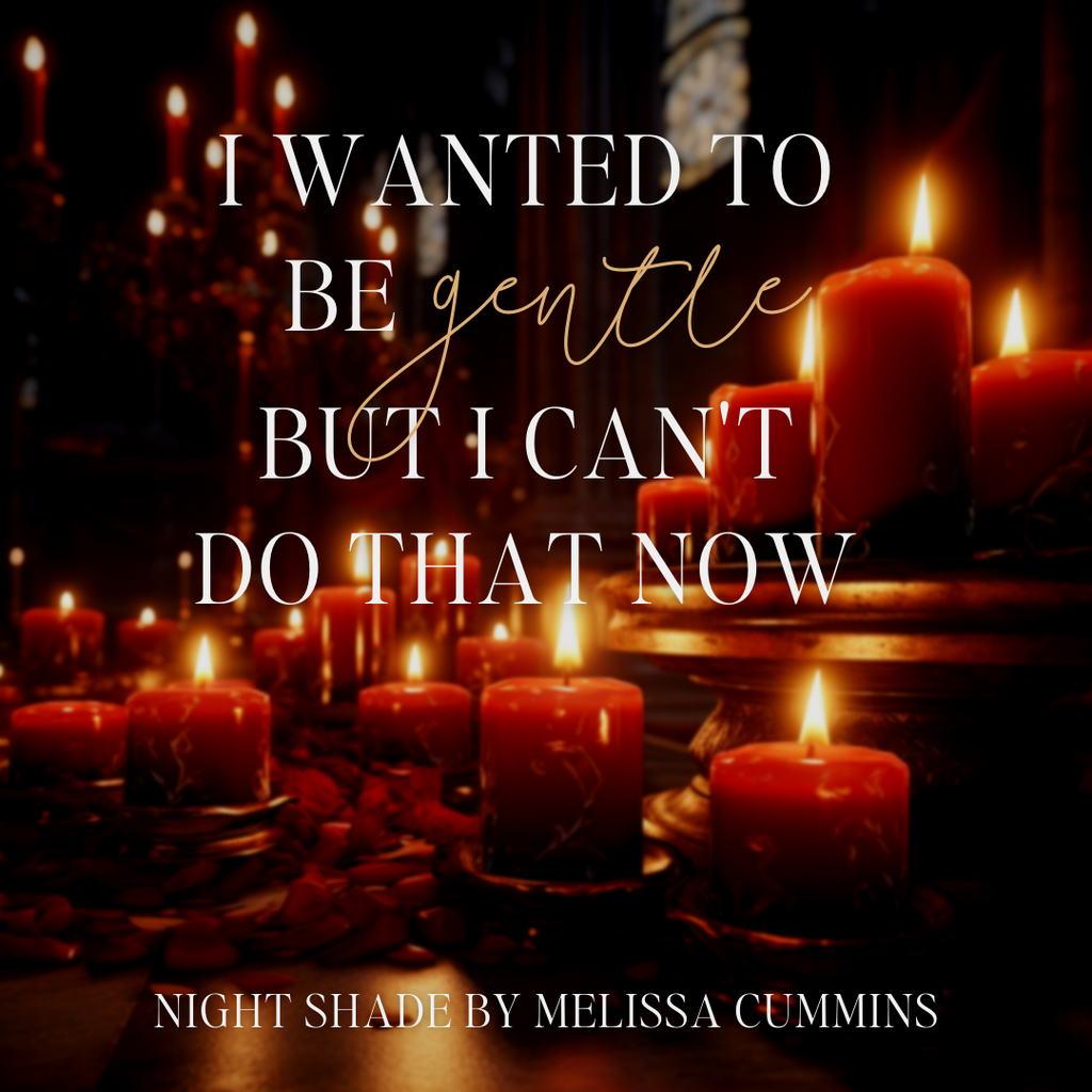 Melissa Cummins Night Fury Paperback