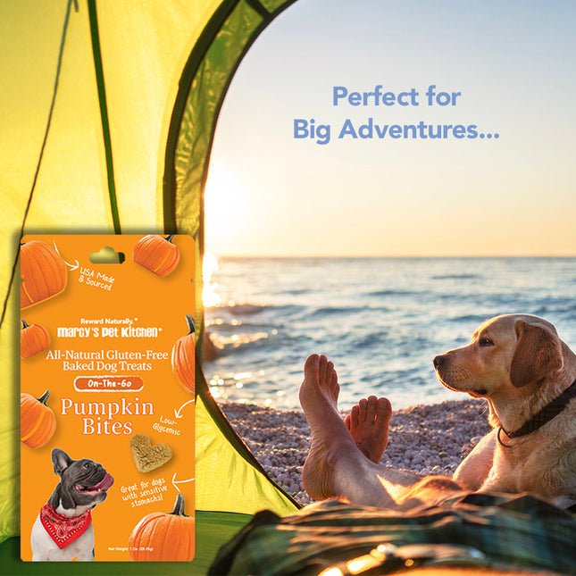 Marcy's Pet Kitchen® - 'On-The-Go' All-Natural, Vegan Pumpkin Biscuit 1oz