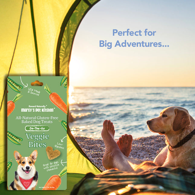 Marcy's Pet Kitchen® - 'On-The-Go' All-Natural, Vegan Veggie Biscuit 1 oz Healthy Dog Treats