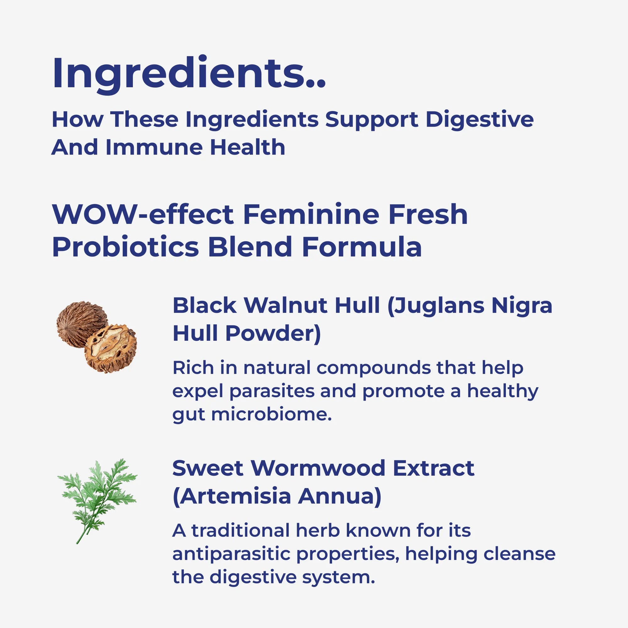 Para911 Intestinal Parasite Cleanse