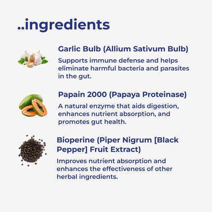 Para911 Intestinal Parasite Cleanse