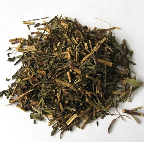 Pericón / Santa María | Digestive Harmony, Calming Relief & Cleansing Support