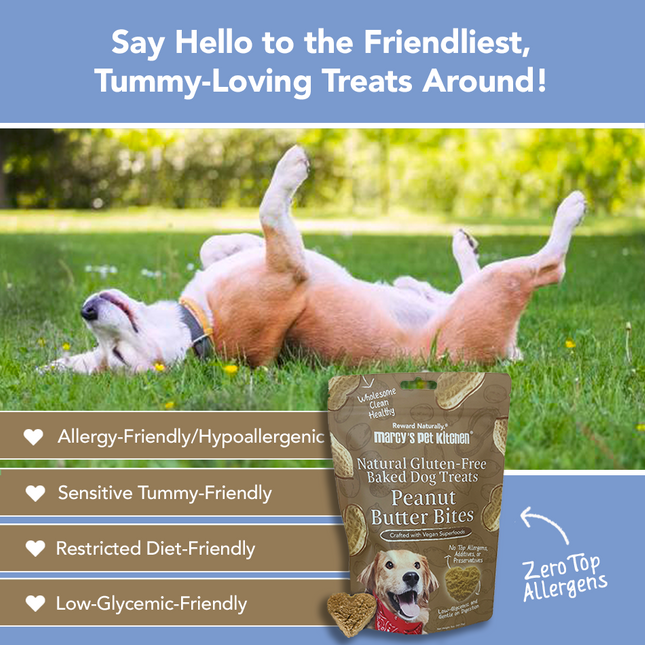 All-Natural Peanut Butter Dog Treats - Homemade-All Natural Dog Treats for Digestive Help - Gluten Free Healthy Human Grade Dog Biscuits for Sensitive Stomachs- USA Made