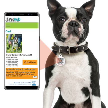 PetHub QR Pet ID Tag – Absent Without a Leash (AWOL)