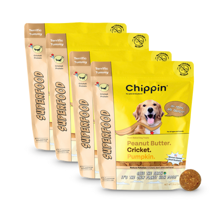 Superfood Cricket & Pumpkin Dog Treats, 4-Pack
