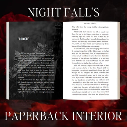 Night Fall Paperback