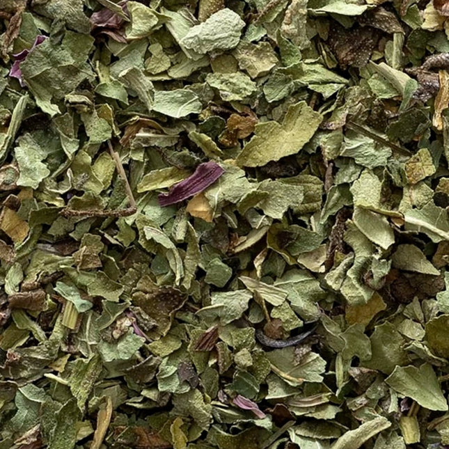 Echinacea | Immune Support & Recovery Aid