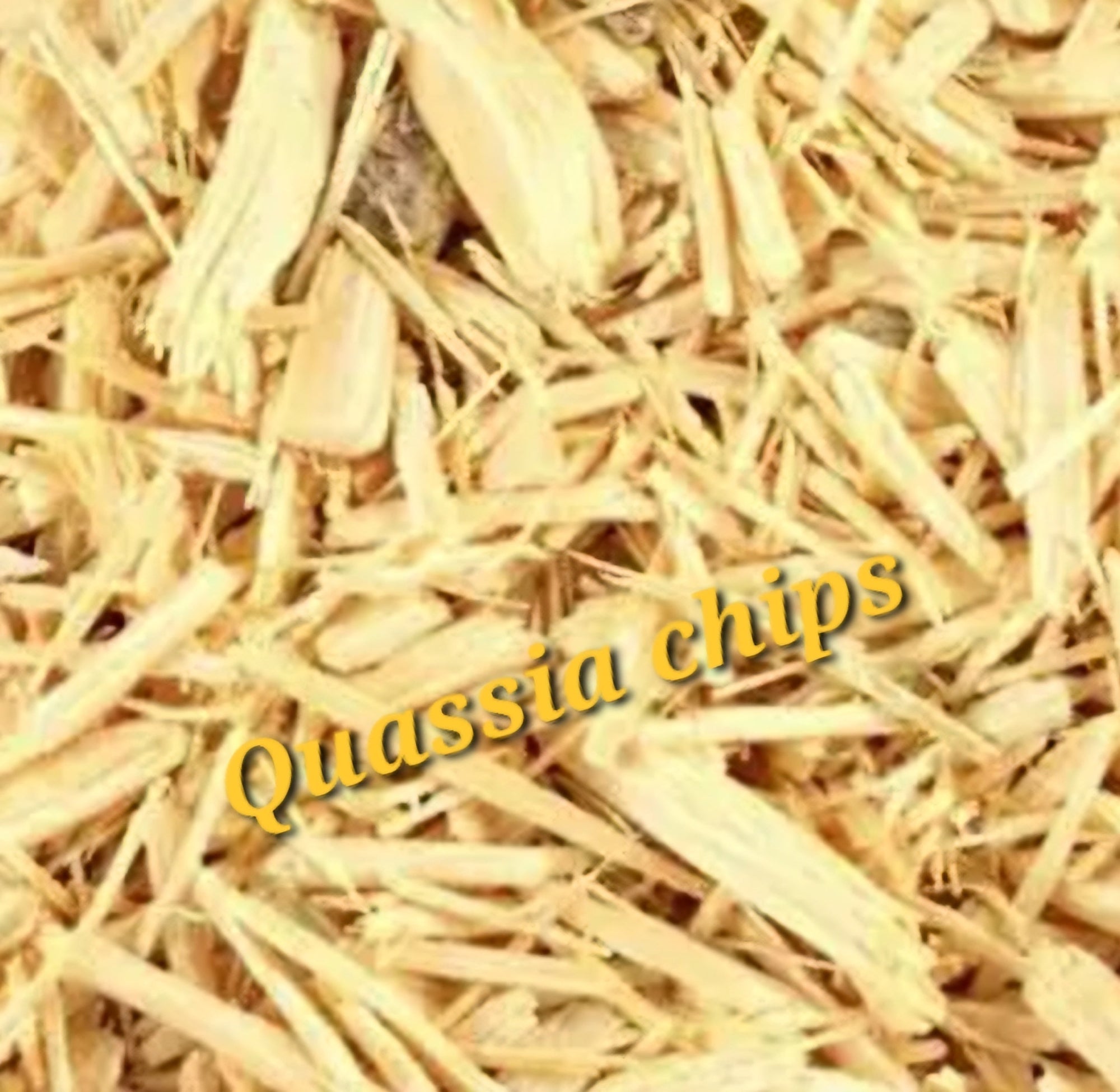 Quassia | Parasite Cleanse, Digestion & Liver Support