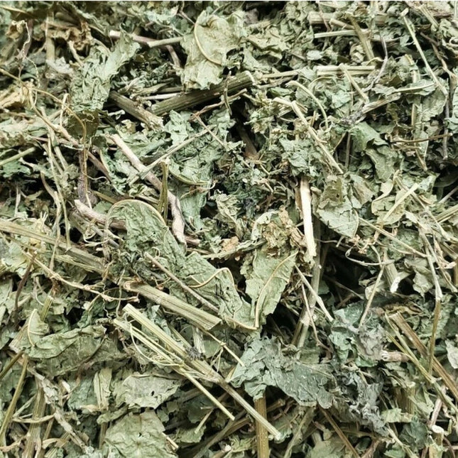 Jamaican Guinea Hen Weed (Anamu) | Immune Support & Traditional Healing