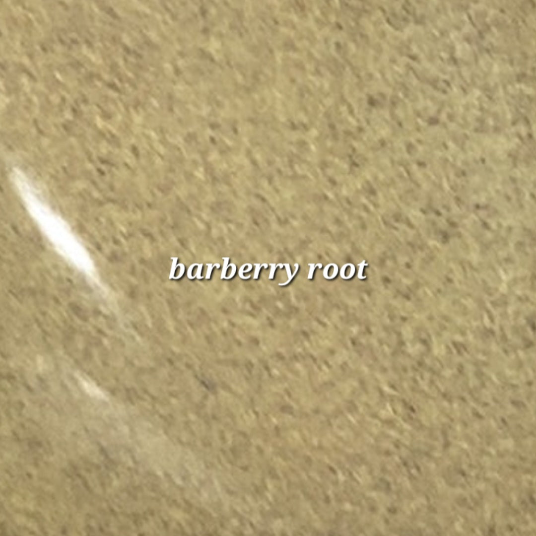 Barberry Root | Liver Cleanse & Digestive Aid