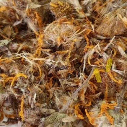 Arnica Leaf | Pain Relief & Circulation Support