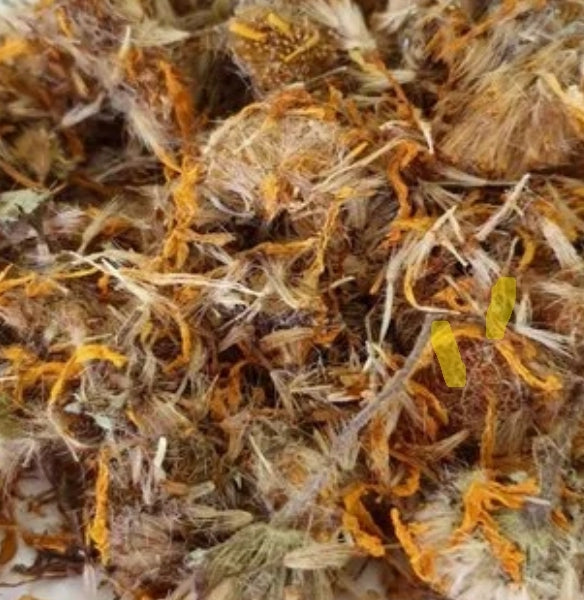 Arnica Leaf | Pain Relief & Circulation Support