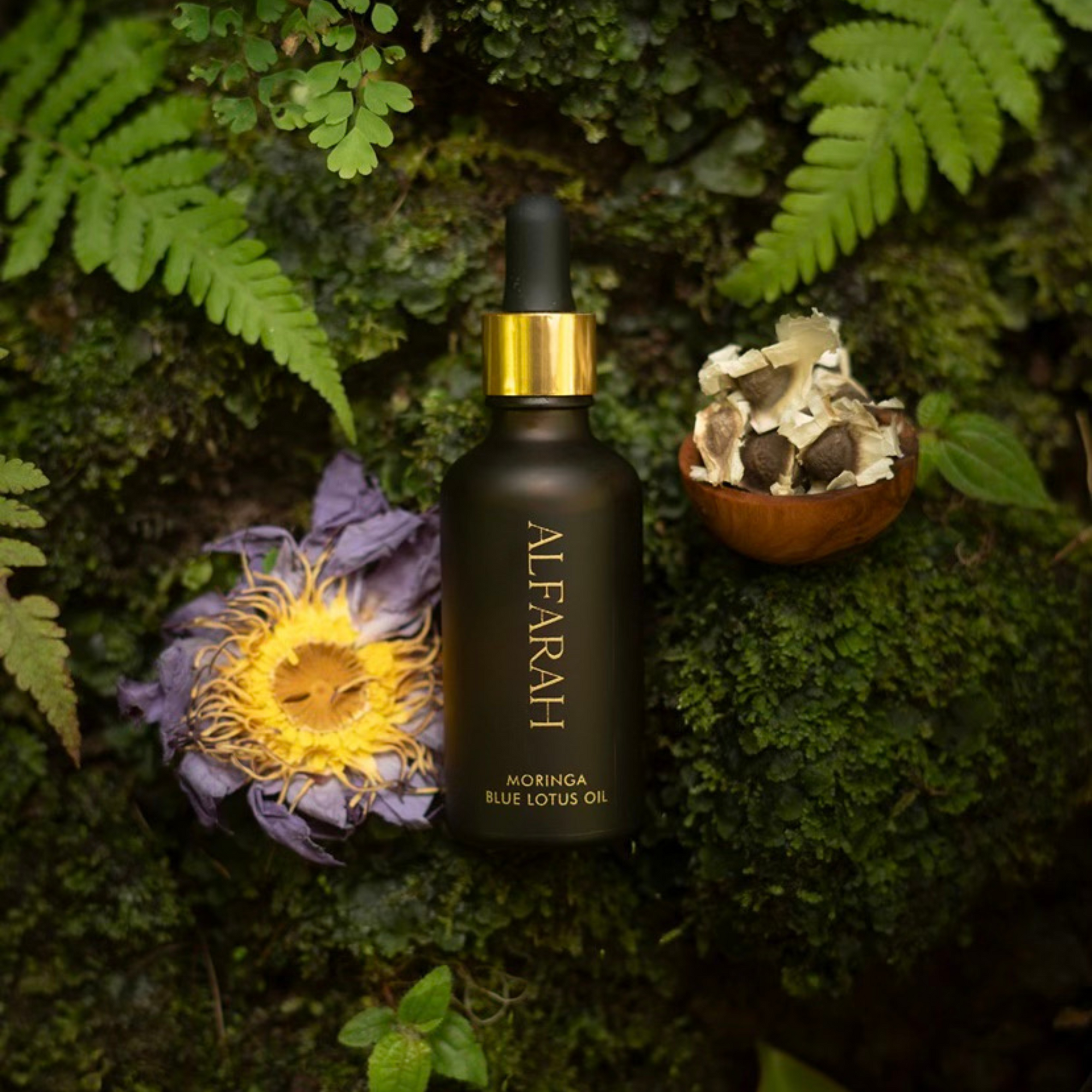 Blue Lotus Infused Moringa Oil