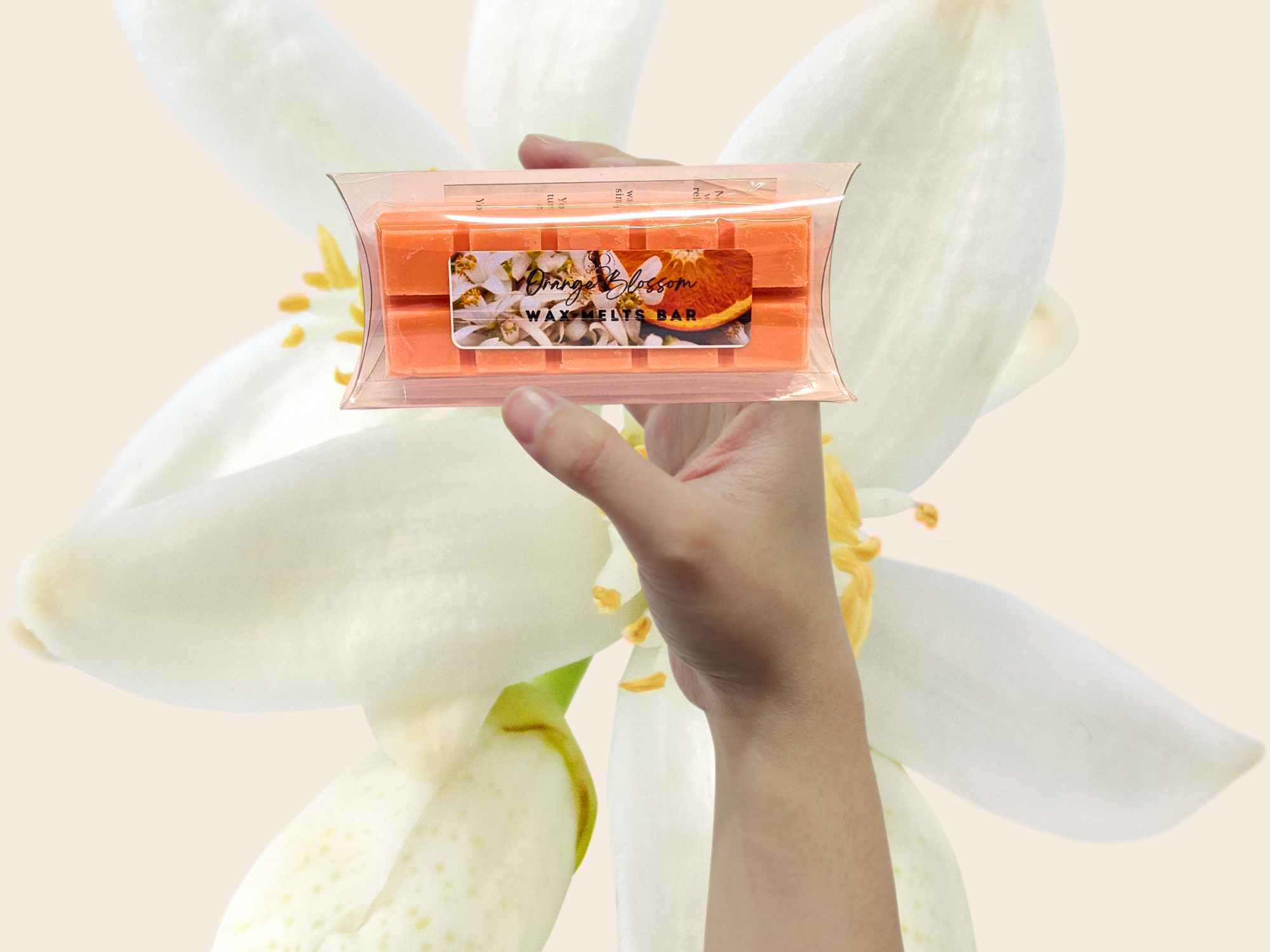 Best-Selling scents  - Wax Melts Bar -  Signature Collection