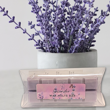Holiday Special Wax Melts Bar – Limited Edition Scents for the Festive Season