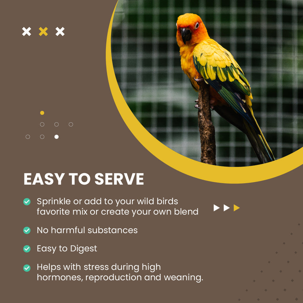 Organic Hulled Millet - 5 lbs.