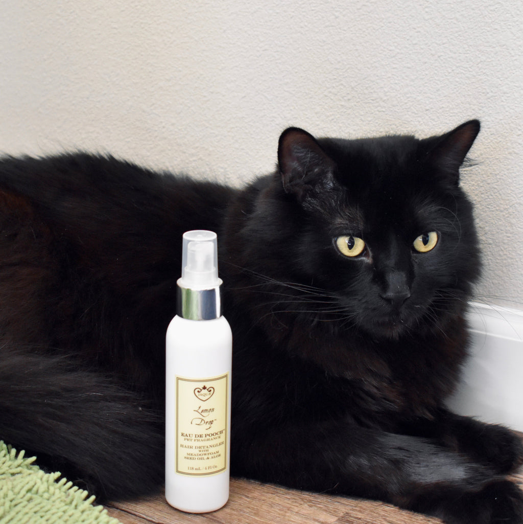 Lemon Drop Eau de Pooch Pet Fragrance and Hair Detangler Spray