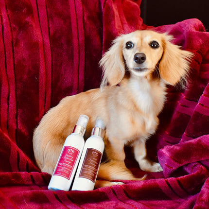Coconut Buttercream Frosting Eau de Pooch Pet Fragrance and Hair Detangler Spray