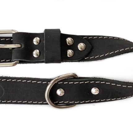 Pro Line Hunting Leather Collar and Leash Set