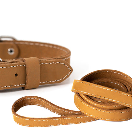 Pro Line Hunting Leather Collar and Leash Set