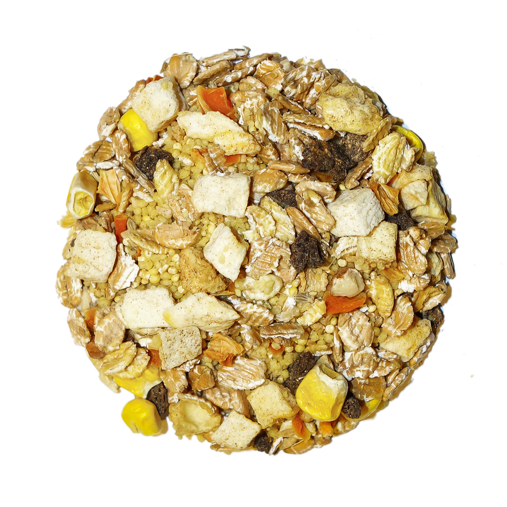 Tropical - Feast on the Fly