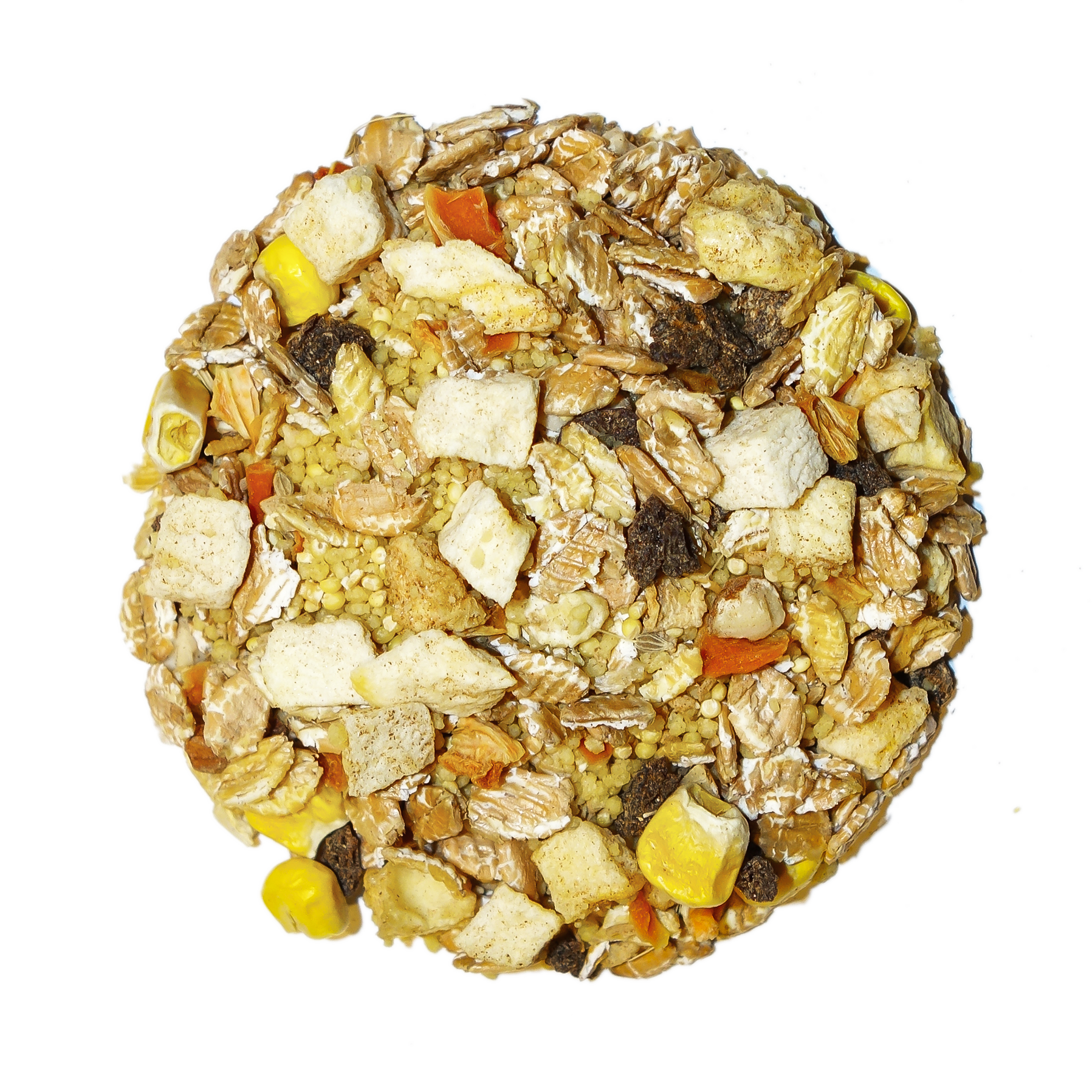 Tropical - Feast on the Fly