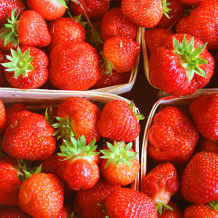 Strawberry with Wild Rose