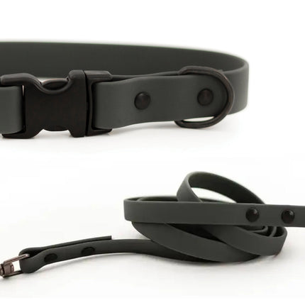 Waterproof Collar and Leash Set
