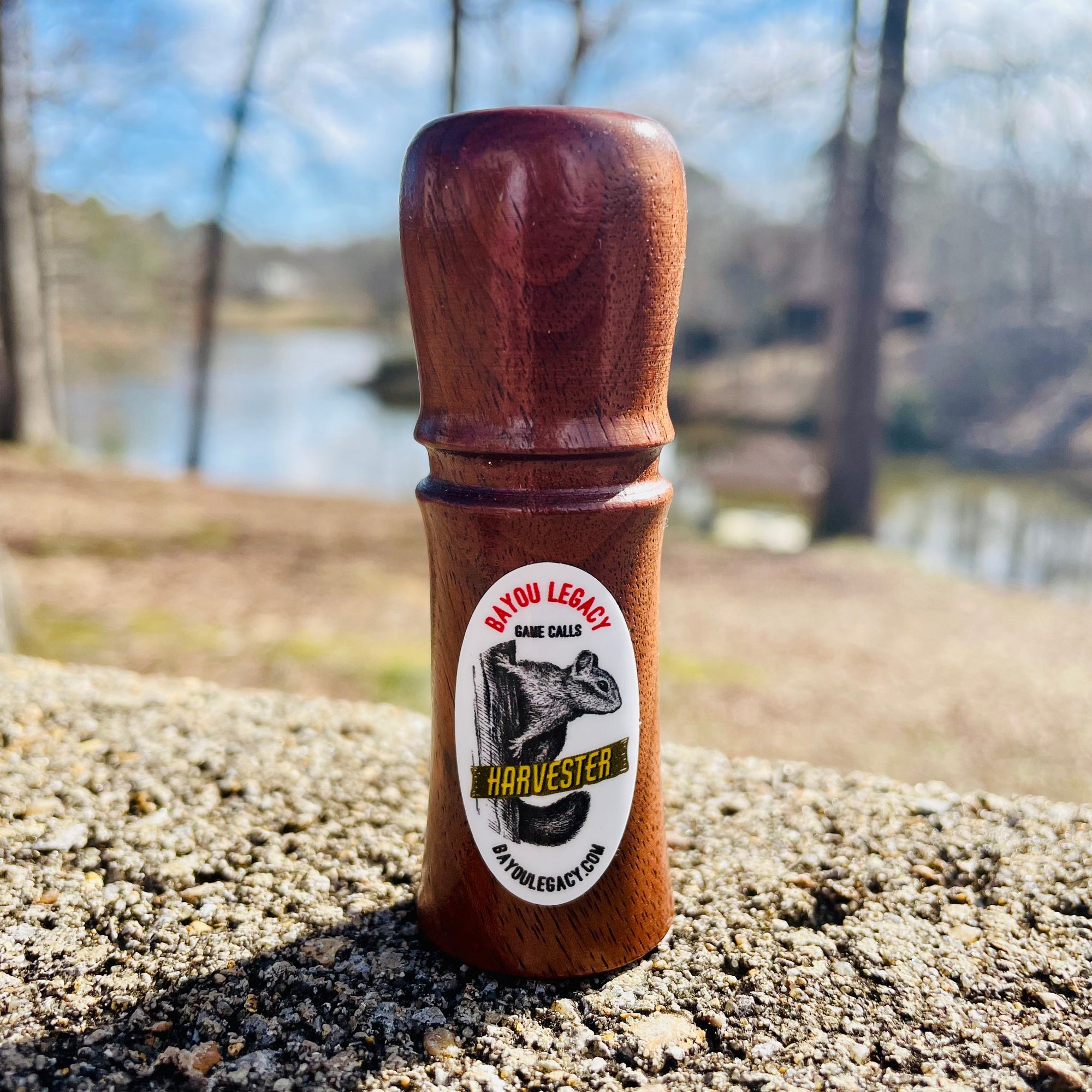 Harvester Squirrel Call