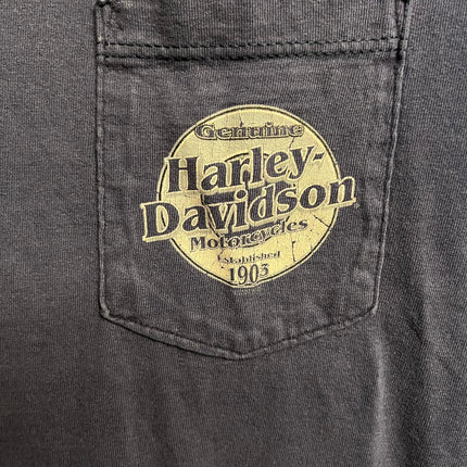 Faded Harley Davidson Pocket Tee Aces Fire Dice - XL
