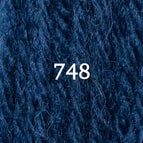 Crewel (2 ply) / Skein (3.5 grams) / 748 (DISCONTINUED)