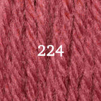 Tapestry (4 ply) / Skein (3.5 grams) / 224