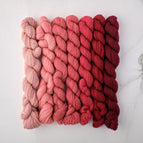 Tapestry (4 ply) / Skein (3.5 grams) / 222