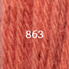 Tapestry (4 ply) / Hank (25 grams) / 863