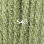 Crewel (2 ply) / Skein (3.5 grams) / 543