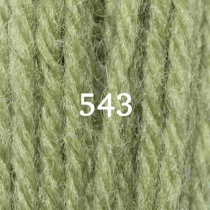 Appletons Wool Yarn - Early English Green 541 - 548