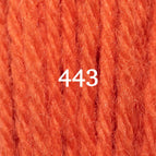 Crewel (2 ply) / Skein (3.5 grams) / 443