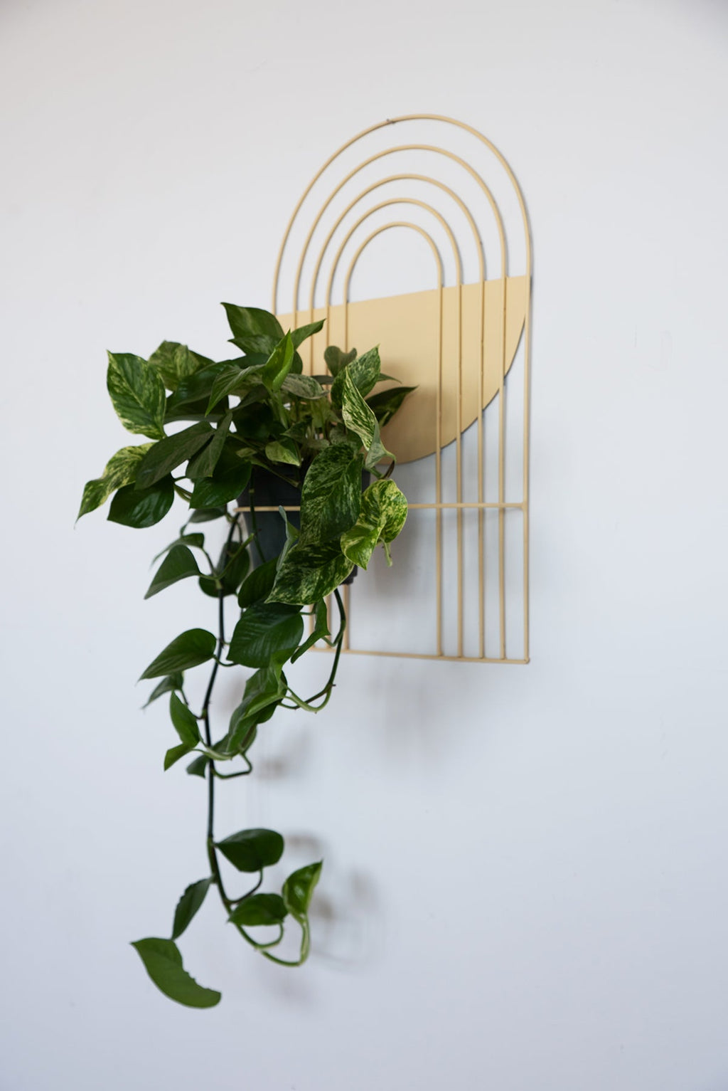 Arches Wall Planter